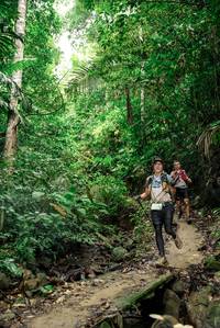 BIB: 
                            <button type="button" onclick="openModal(24679158)" class="btn btn-primary btn-sm float-right btn-popup" data-toggle="modal" data-target=".modal-high-quality">
                        <i class="fas fa-shopping-cart"></i> Add to Cart
                    </button>
                                            <button type="button" onclick="isThisMe(24679158, true)" class="btn btn-success btn-sm float-right btn-popup btn-isme hidden" data-toggle="tooltip" data-placement="bottom" title="นี่คือรูปของคุณใช่ไหม คลิกที่นี่เพื่อเอาเข้าอัลบั้ม">
                        <i class="fas fa-plus"></i> Add to album
                    </button>
                    <button type="button" onclick="isThisMe(24679158, false)" class="btn btn-warning btn-sm float-right btn-popup btn-isnotme hidden">
                        <i class="fas fa-ban"></i> Remove from album
                    </button>